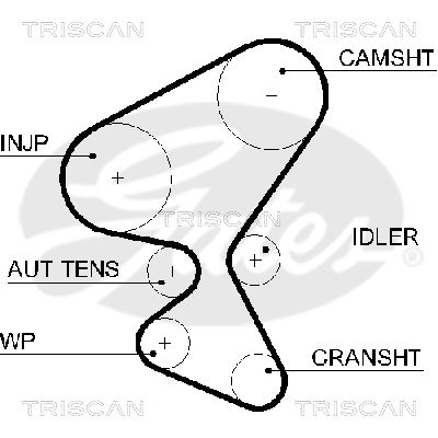Zahnriemen Triscan 8645 5598xs Zahnriemen Triscan 8645 5598xs von Triscan