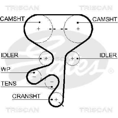 Zahnriemen Triscan 8645 5603xs Zahnriemen Triscan 8645 5603xs von Triscan