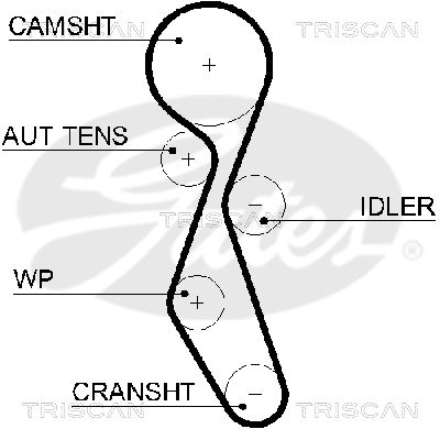 Zahnriemen Triscan 8645 5606xs Zahnriemen Triscan 8645 5606xs von Triscan