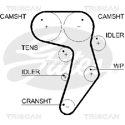 Zahnriemen Triscan 8645 5607xs Zahnriemen Triscan 8645 5607xs von Triscan