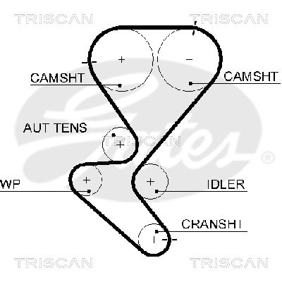 Zahnriemen Triscan 8645 5615xs Zahnriemen Triscan 8645 5615xs von Triscan