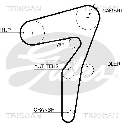 Zahnriemen Triscan 8645 5623xs Zahnriemen Triscan 8645 5623xs von Triscan