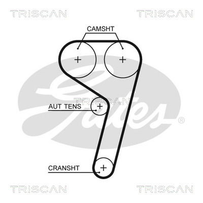 Zahnriemen Triscan 8645 5669xs Zahnriemen Triscan 8645 5669xs von Triscan