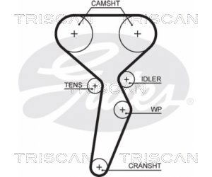 Zahnriemen Triscan 8645 5671xs Zahnriemen Triscan 8645 5671xs von Triscan