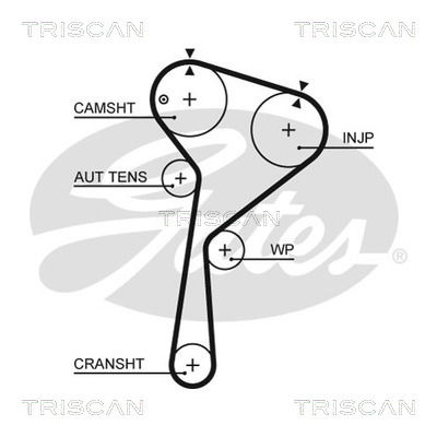 Zahnriemen Triscan 8645 5675xs Zahnriemen Triscan 8645 5675xs von Triscan