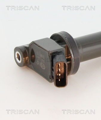 Zündspule Triscan 8860 13034 von Triscan