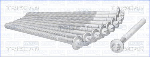 Zylinderkopfschraubensatz Triscan 98-4125 von Triscan