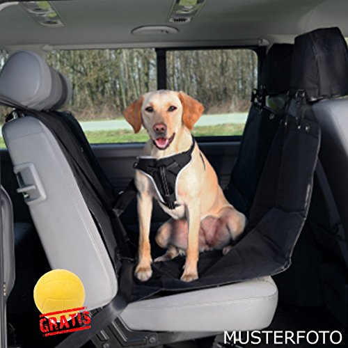 TRIXIE Friends On Tour 1324 +BALL Hunde Auto-Schondecke Baumwolle/Polyester Hunde von Trixie