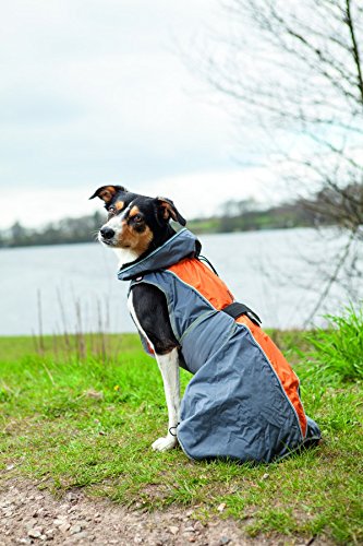 Trixie massiv Regenmantel für Hunde, 25 cm, grau/orange von Trixie