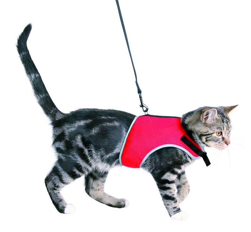 XCat Katzen-Garnitur mit 1,20m Leine von Trixie