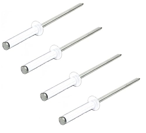 Set mit 4 Nieten, Kennzeichenbefestigung, 4 Stück, weiß für Mopeds, Motorrad, Auto, Hubraum 50 Set mit 4 Nieten, Kennzeichenbefestigung, 4 Stück, weiß für Mopeds, Motorrad, Auto, Hubraum 50 von Tûche