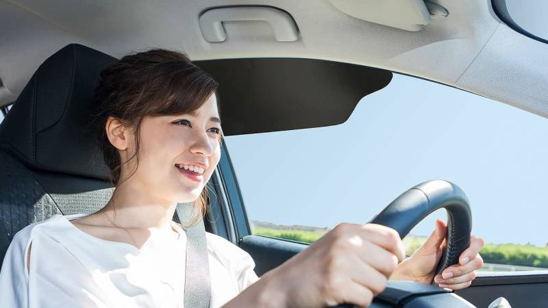 tuckvisor Auto Sonnenschutz Fenster Schatten Visier Shades Visiere Extender 2 Stück von TuckVisor
