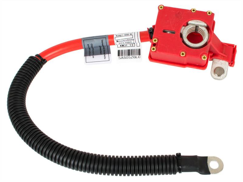 Sicherheits Batterieklemme 61129217004 / 61129115449 für BMW X3 F25 X6 E70 E71 von GOLDCAR Renata Badzio,Bart?omiej Kalisz s.c.
