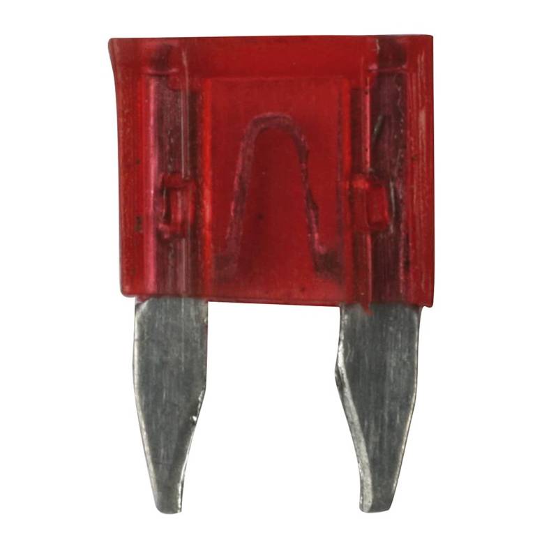 Spotlight T-640729 Mini-Sicherung, 10 A, Rot von OROK
