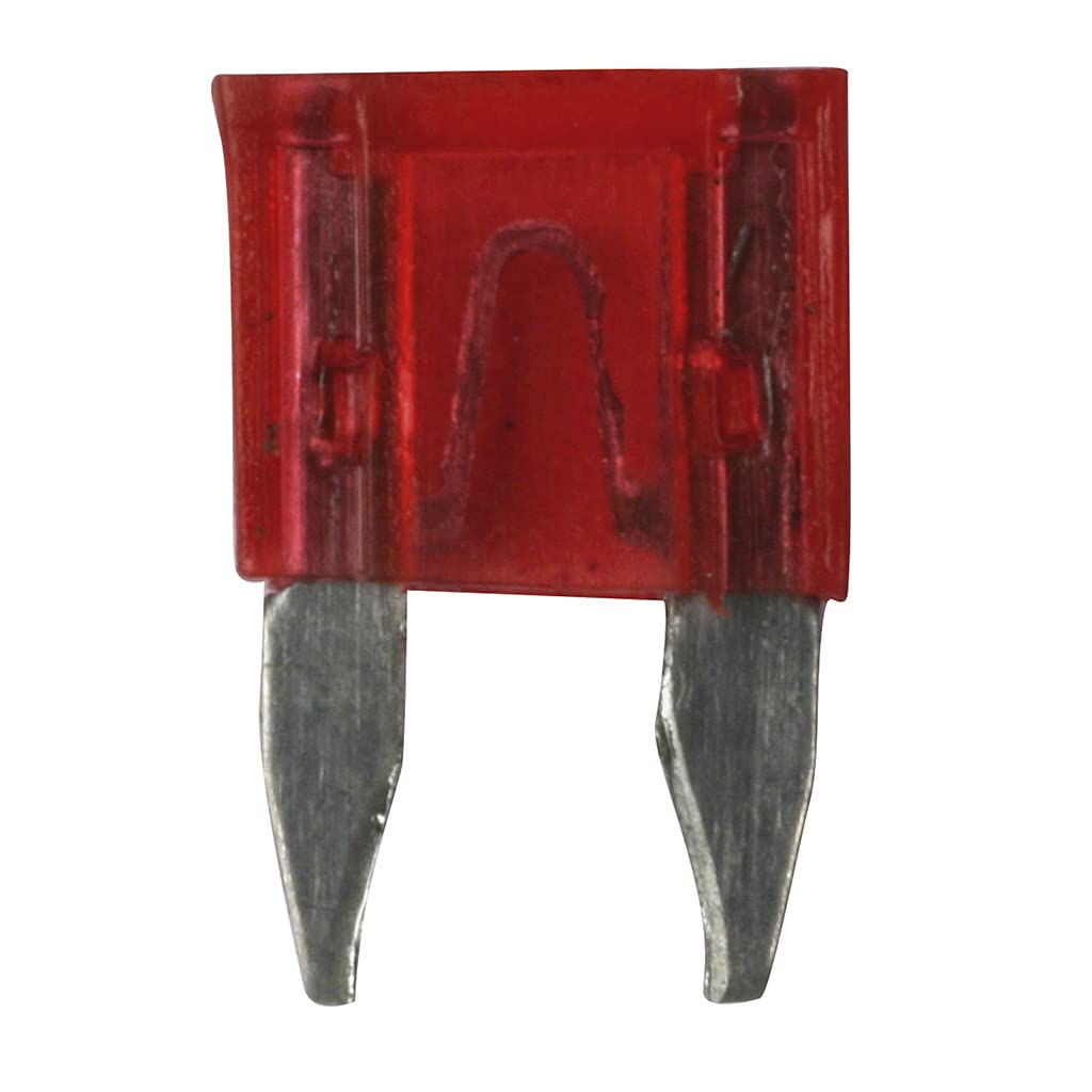 Spotlight T-640729 Mini-Sicherung, 10 A, Rot Spotlight T-640729 Mini-Sicherung, 10 A, Rot von OROK