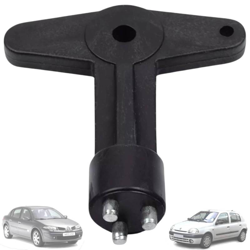 Twowinds Radkappe Schlüssel Kompatibel mit Renault Clio Espace Kangoo Megane Opel 7700422600 Diebstahlsicherung Sicherheit von Twowinds