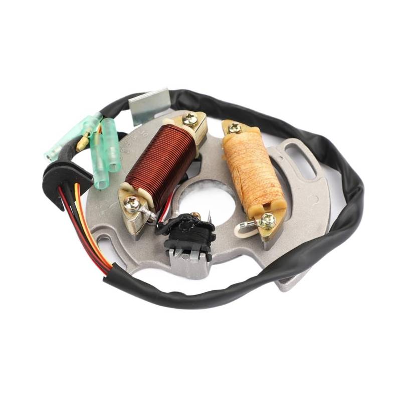 Lichtmaschine Magneto Stator Fit for YFS200 90-02 3JM-85560-00-00 Motorrad Zubehör Teile von TyMuive