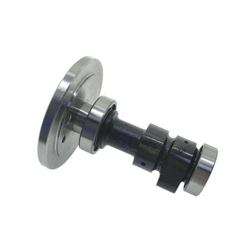 Passend for GXT250 QM250J-2L QM250-3X QM250-8L QM250GY QM250GY-F GS250GY-F DR250 250cc Nockenwelle von TyMuive