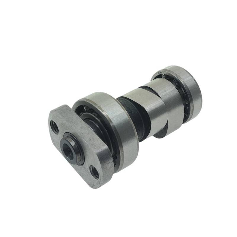 Passend for HD200 RV200 VTS200 GTS200 Joyride Trackrunner 200cc EVO EFI 14100-H9A-000 Nockenwellenkipphebel(Camshaft) von TyMuive