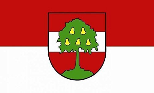 U24 Aufkleber Dornbirn Flagge Fahne 8 x 5 cm Autoaufkleber Sticker von U24