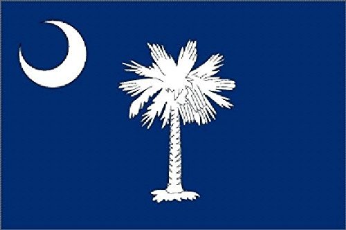 U24 Aufkleber South Carolina Flagge Fahne 8 x 5 cm Autoaufkleber Sticker von U24