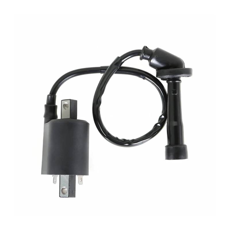 Zündspule Für V Star 650 Für XVS650 Für XVS650A Für XVS650AT 4VR-82320-00 1998-2012 2013 2014 2015 2016 2X Zündspule Für Zündkerze Zündkerze von UFITIDU
