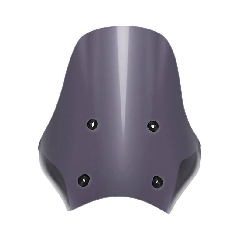 Motorrad Windschild Für Himalayan 450 2023-2024 Motorrad Winddicht Wind Bildschirm Deflektor Windschutzscheibe Windschutzscheibe Motorrad Wind Luftabweiser(Light) von UMDJJU