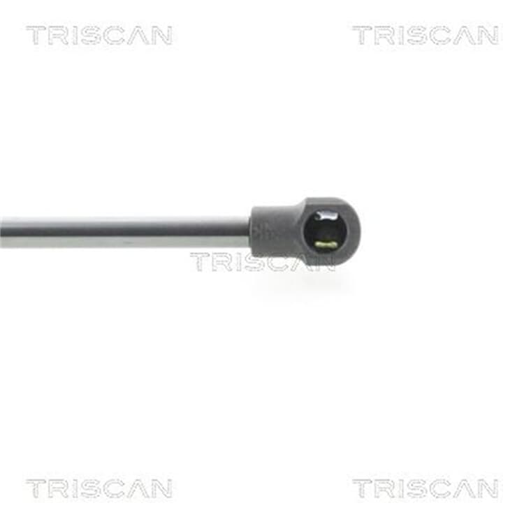 Triscan AGR-Ventil Hyundai Almera X-Trail 2,2 dCi von TRISCAN