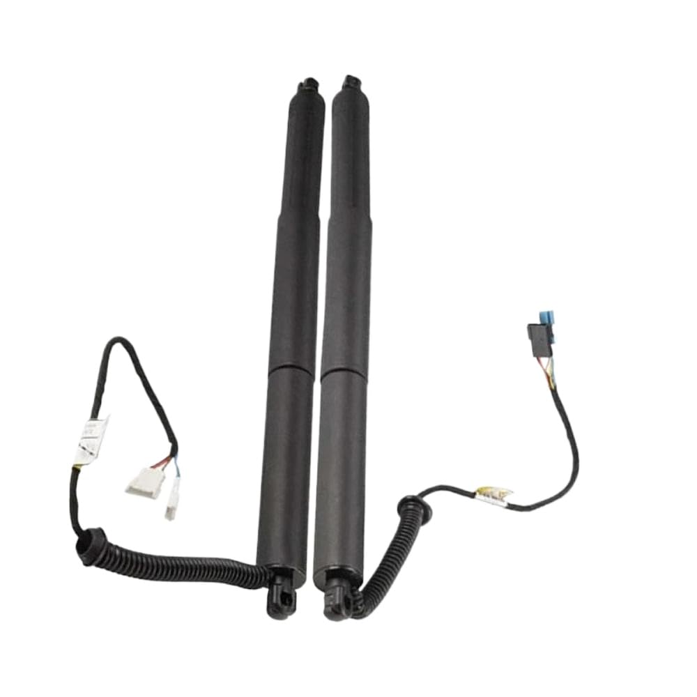 Kompatible Unterstützung nach hinten nach hinten und rechts Heckklappe Kompatibel mit F15 F85 X5 2,0L 3.0L 4,4L Modelle 2016 bis 2018 51247434041 51247434042 Kompatible Unterstützung nach hinten nach hinten und rechts Heckklappe Kompatibel mit F15 F85 X5 2,0L 3.0L 4,4L Modelle 2016 bis 2018 51247434041 51247434042 von UNRRZLCA