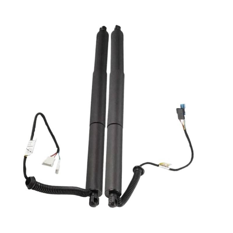 Kompatible Unterstützung nach hinten nach hinten und rechts Heckklappe Kompatibel mit F15 F85 X5 2,0L 3.0L 4,4L Modelle 2016 bis 2018 51247434041 51247434042 von UNRRZLCA