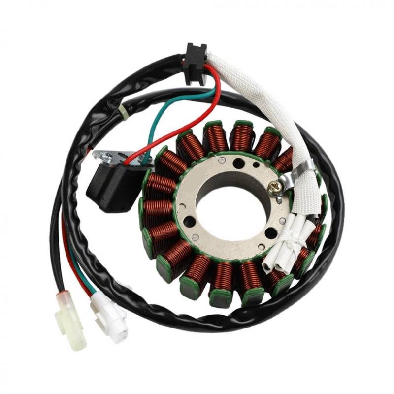 Kompatible Zündstatator-Regler-Dichtung Kompatibel mit Rallye 450 Factory Series 2011-2014 von UNRRZLCA