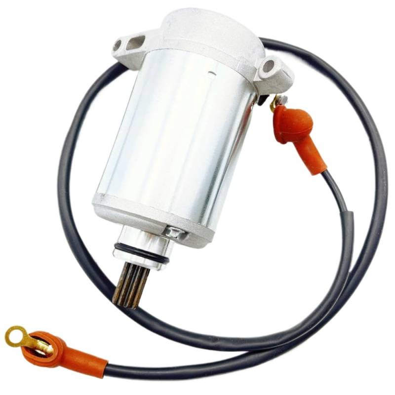 Kompatibler Startermotor Kompatibel mit 400ccm ATV UTV Mountain Lion JS183FMQ JS400 von UNRRZLCA