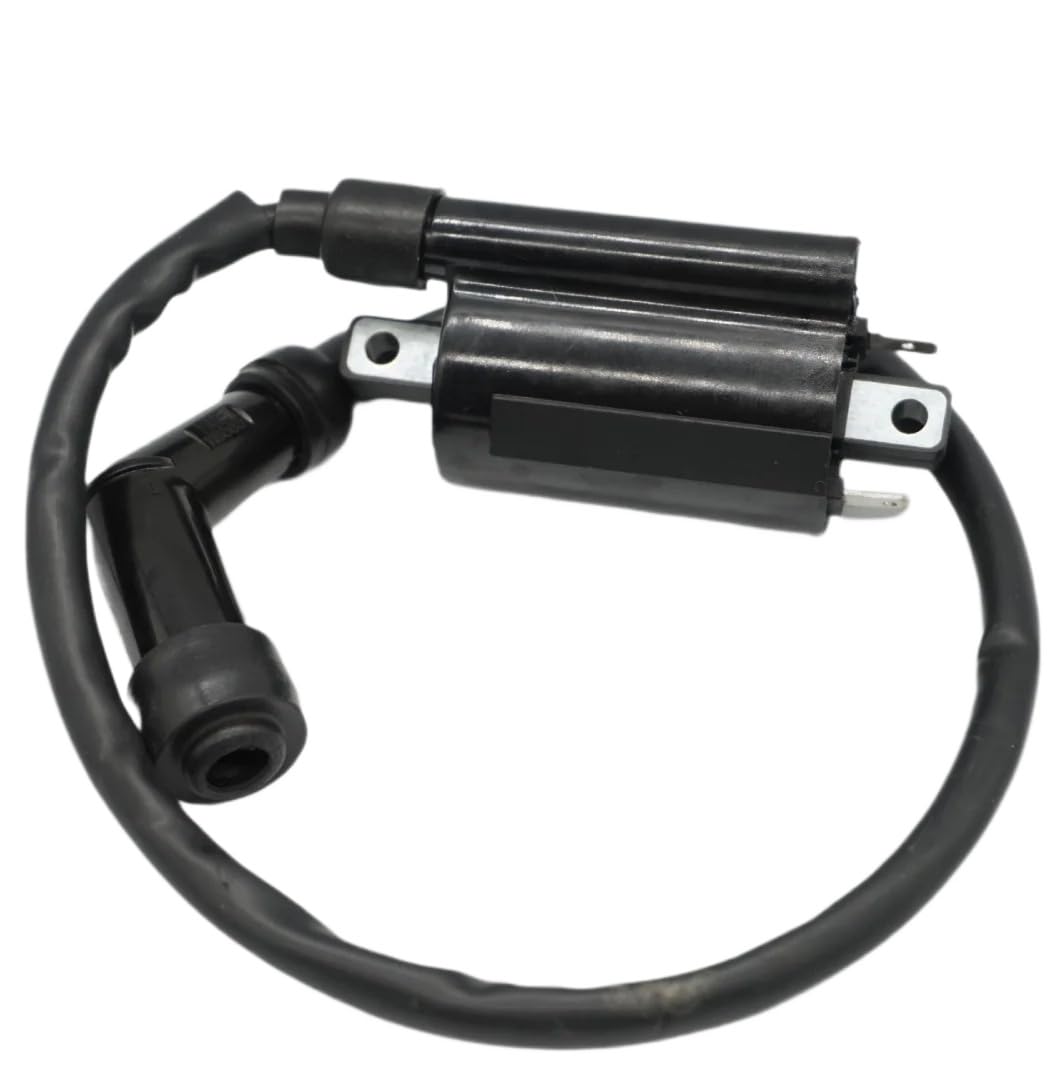 250 Zündspule Kompatibel mit DINK250 MXU250 3051A-KHE7-900 Dink 250 MXU300 Spule Assy ZÜNDUNG kompatibel mit MONGOOSE300 MXU700i YUP50 250 Zündspule Kompatibel mit DINK250 MXU250 3051A-KHE7-900 Dink 250 MXU300 Spule Assy ZÜNDUNG kompatibel mit MONGOOSE300 MXU700i YUP50 von UQXJK