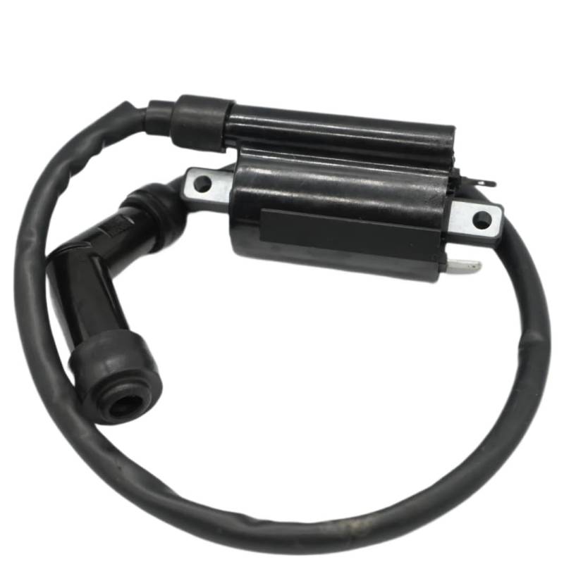 250 Zündspule Kompatibel mit DINK250 MXU250 3051A-KHE7-900 Dink 250 MXU300 Spule Assy ZÜNDUNG kompatibel mit MONGOOSE300 MXU700i YUP50 von UQXJK