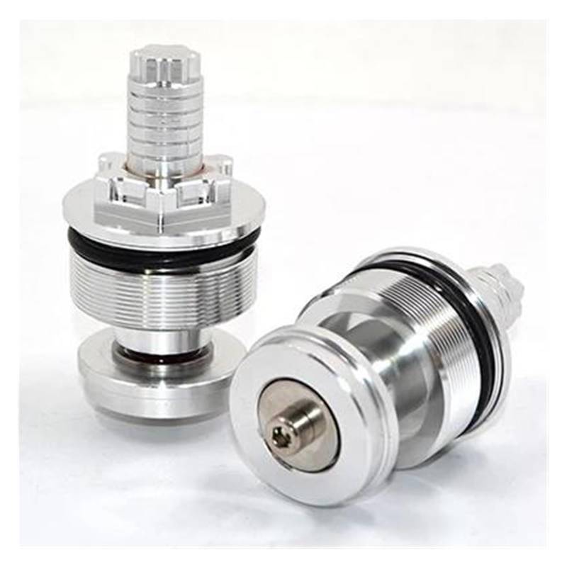 USAMZOM Motorrad-Stoßdämpferschrauben Für KA&WASAKI ER-4F 2011-2014 ER-6F 2006-2015 Motorrad Stoßdämpfer Vorne Schraube Gabel Abdeckung Vorspannung Einstellbare Gabel Bolzen(Silber) von USAMZOM