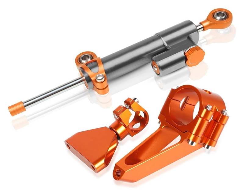 Für CBR600 F4i CBR 600 1999 2000 2001 2002 2003 2004 2005 2006 2007 Motorrad Lenkungsdämpfer Stabilisator Halterung Montieren Unterstützung Kit Motorrad Lenkungsdämpfer Stabilisator(1841) von UTONGMU