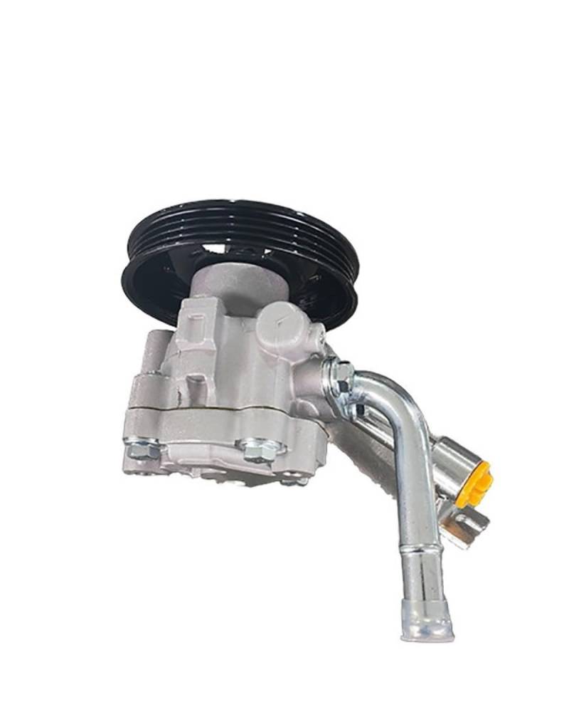 Hydraulikpumpe Lenkung Servopumpe Für D40 Auto Lenkung Booster 49110-EB700 Lenkung Booster Pumpe Lenkung Booster Lenkung Hydraulikpumpe von UUIUYGH