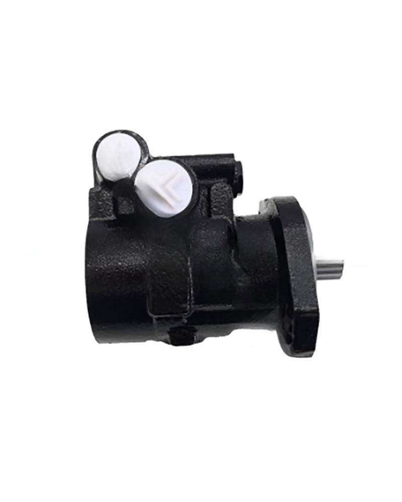 Hydraulikpumpe Lenkung Servopumpe Für Ford Für Cummins Lkw Cumminss Lenkgetriebe Booster Pumpe 7674955344 Lenkung Hydraulikpumpe von UUIUYGH
