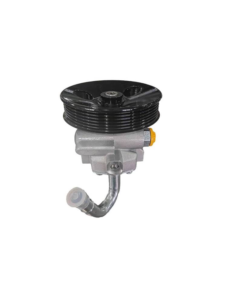 Hydraulikpumpe Lenkung Servopumpe Für Kalos 2003-2008 1,4 Lenkung Booster Pumpen 96535224 Automotive Servolenkung Pumpe Lenkung Hydraulikpumpe von UUIUYGH