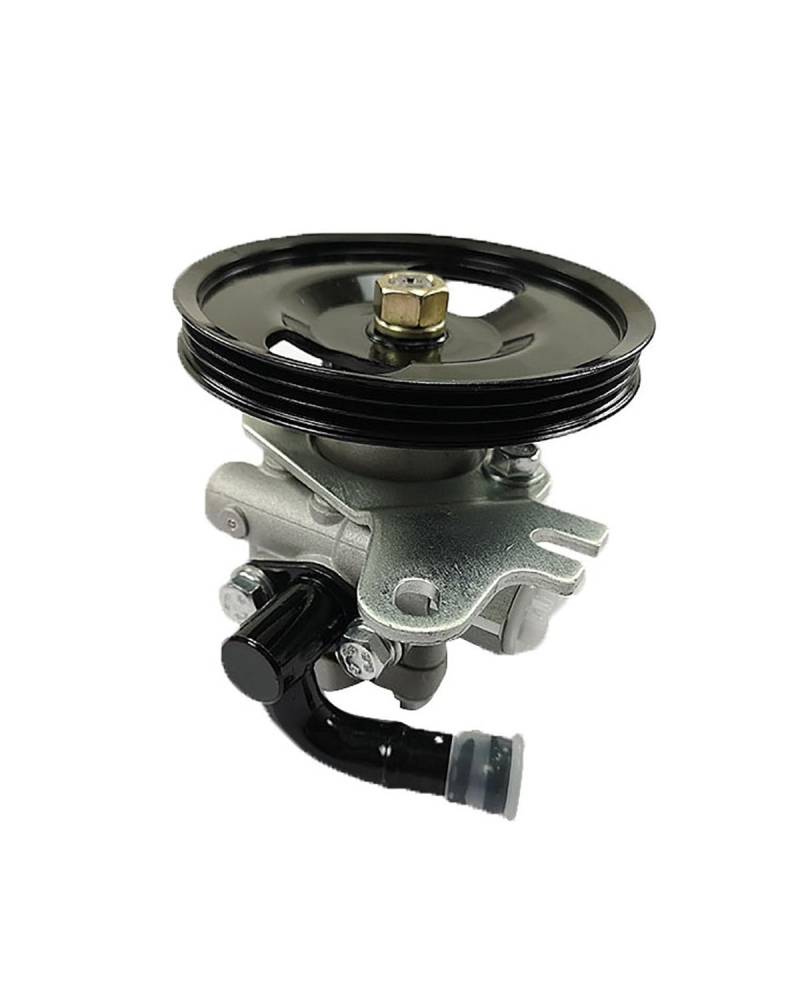 Hydraulikpumpe Lenkung Servopumpe Für QG16 B10 Lenkgetriebe Druckerhöhungspumpe 49110-95F0A Lenkung Hydraulikpumpe von UUIUYGH