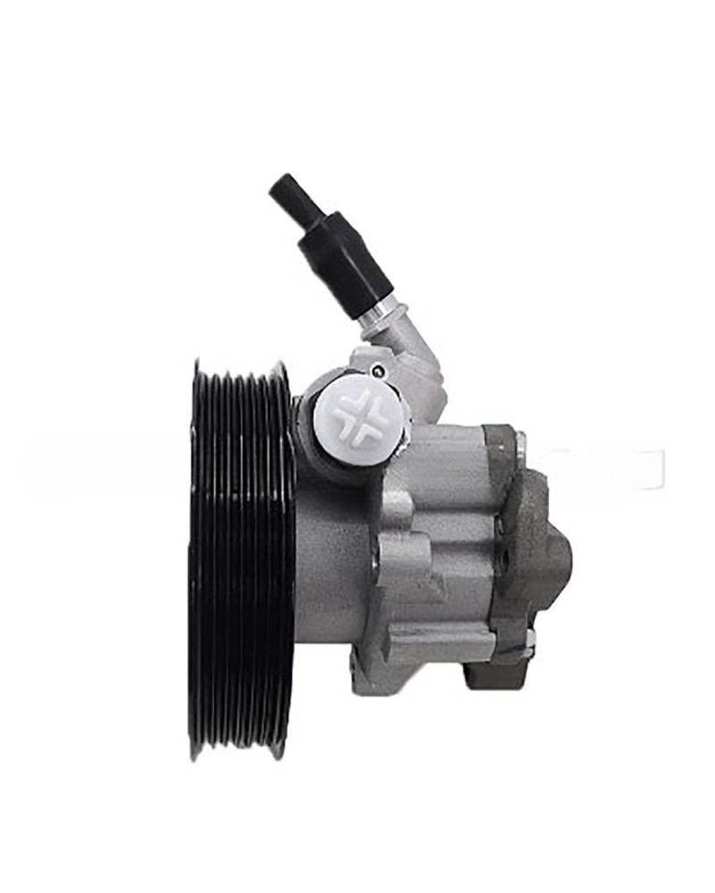 Hydraulikpumpe Lenkung Servopumpe Für Range Für Rover Executive Edition 4,2 Servolenkung Pumpe QVB500430 Lenkung Hydraulikpumpe von UUIUYGH