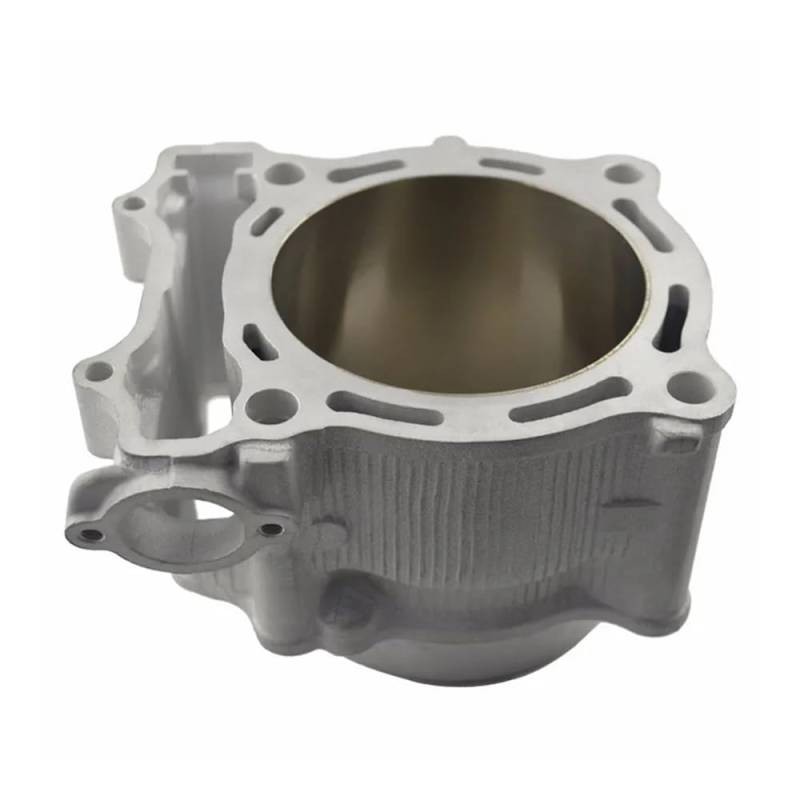 Motorrad Bohrung 95mm Zylinder Kolben Ring Dichtung Kit for YZ450F 2003 Zu 2005 5TA-11311-12-00 2S2-11631-20(Cylinder) von UidEdMVp