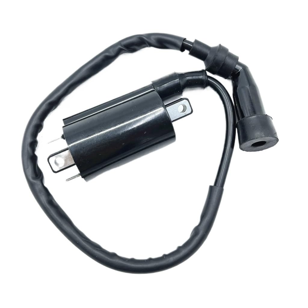 Zündspule for FA300CC D300 G300 H300 LH260 LH300 ATV QUAND Teile Zündspule for FA300CC D300 G300 H300 LH260 LH300 ATV QUAND Teile von UidEdMVp