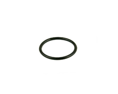 Dichtung O-Ring für Ansaugspacer für 139QMB/QMA von Unbekannt