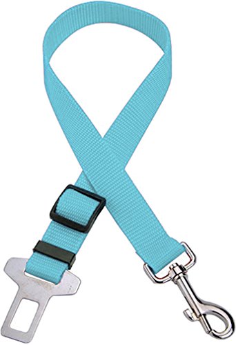 Hunde-Sicherkeits-Gurt für Auto-Anschnaller, verstellbar, Farbe: BLAU, 2,50cm breit, 80cm lang, Material: Nylon, Autosicherheitsgurt, Hundegurt, Anschnallgurt Hunde-Sicherkeits-Gurt für Auto-Anschnaller, verstellbar, Farbe: BLAU, 2,50cm breit, 80cm lang, Material: Nylon, Autosicherheitsgurt, Hundegurt, Anschnallgurt von Unbekannt