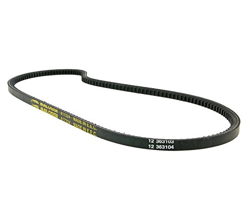Unbekannt Keilriemen Malossi Special Belt für Piaggio, Vespa Ciao, PX50 (70mm Riemenscheibe) von UNKNOWN