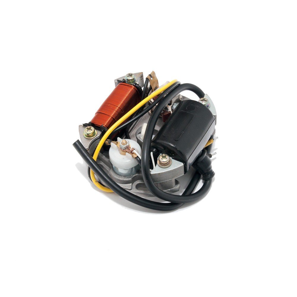 Lichtmaschine / Zündung 6V 15W für Maxi Mofa von Import