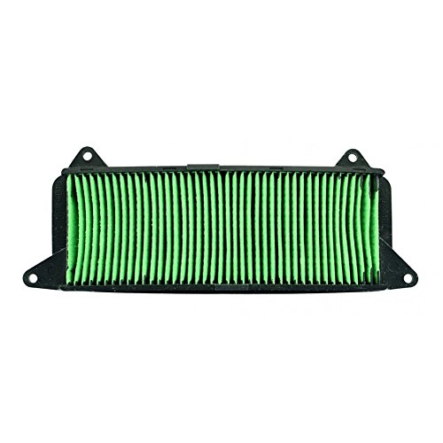 Luftfilter Einsatz für Honda Lead NHX 110 08-12 von UNKNOWN