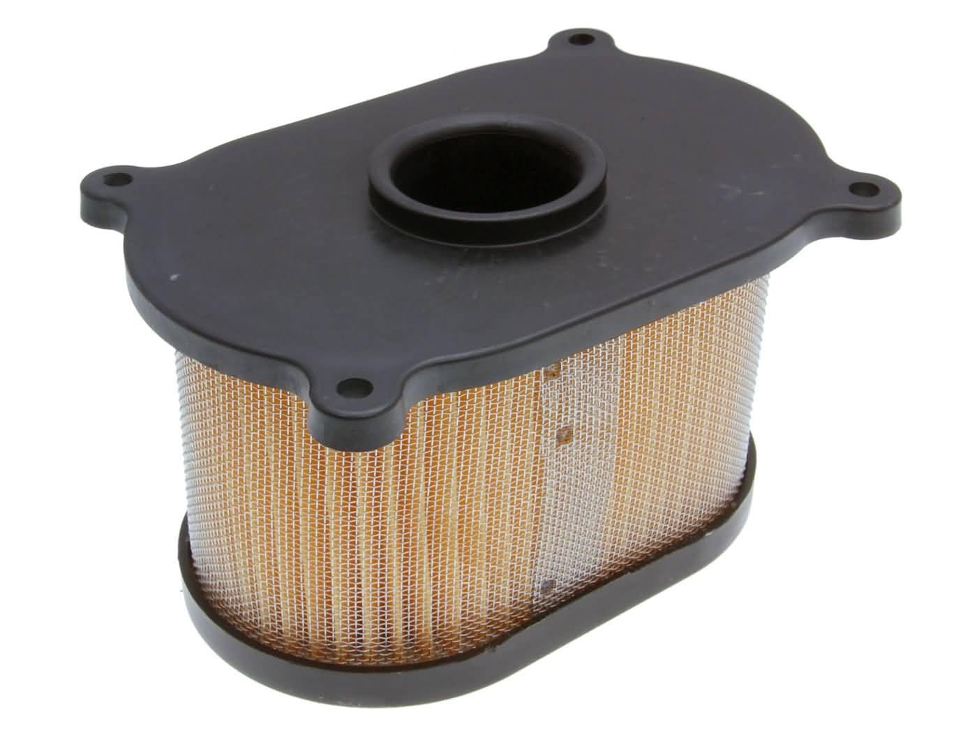 Luftfilter Einsatz für Hyosung GT 125, 250, 650, Aquila 650 Luftfilter Einsatz für Hyosung GT 125, 250, 650, Aquila 650 von 101_Octane