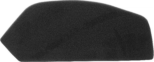 Luftfilter für APRILIA Leonardo 250 1999-2001 von Unbekannt